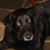 Debbie Mitchell's profile image