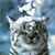 Linda Cook's profile image