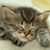 Penny G Douglass's profile image