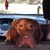 Cortland Draper's profile image