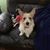 Carol Davis's profile image