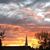 Janice Gentile's profile image