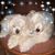 Terry Holland Weinberger's profile image