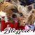 Stephanie Becnel Bergeron's profile image