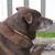 Tobi Walker's profile image