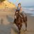 Patty DeDominic's profile image