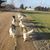 Stephanie Gray's profile image