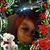 Chiquita Johnson's profile image