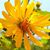 Darla McComas Peelle's profile image