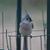 Kimberly Dunlap's profile image