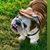 Mel Granados's profile image