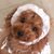 Takako Fraas's profile image