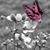 Jennifer Potter's profile image