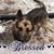 Sharon Wisdom's profile image