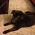 Jeanne A Salyer's profile image