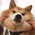 Wendy Tang's profile image