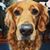 Rachel Bleau Gobel's profile image