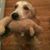 Christy Bailey's profile image