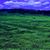 Lacy Wortman's profile image
