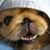 Doogie Rae's profile image