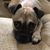 Nelson Crumling's profile image
