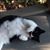 Margaret Allen Hauenstein's profile image