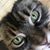 Natalie King-Lyons's profile image