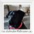 Marc D. Dill's profile image