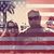 Alicia Faria Pinto's profile image