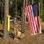 Deb Paulsen's profile image