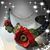 Sherry Morrison's profile image