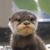 Elaine A. Villaverde's profile image