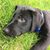 Beth Whitman Skove's profile image