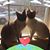Kathy Sorensen's profile image