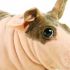 Darlene E.'s profile image