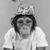 Vicki Bell's profile image