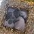 Yolanda Roecker's profile image