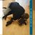 Janice Capps Quick's profile image