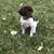 Jen Mercer Kiser's profile image