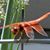 Gail Watts Barnett's profile image
