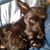 Curtis Linhart's profile image