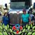 Nestor L Baez's profile image