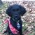 Stephanie Gemuenden's profile image