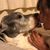 Jeri Rhees's profile image