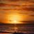Mechelle Pichon's profile image