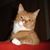 KT Tut's profile image