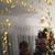 Cheryl Duley-Lecea's profile image