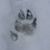 Diana Brown Johnson-Scott's profile image