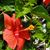 Kathryn Esty-Waterhouse's profile image