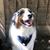 John Sarsfield's profile image